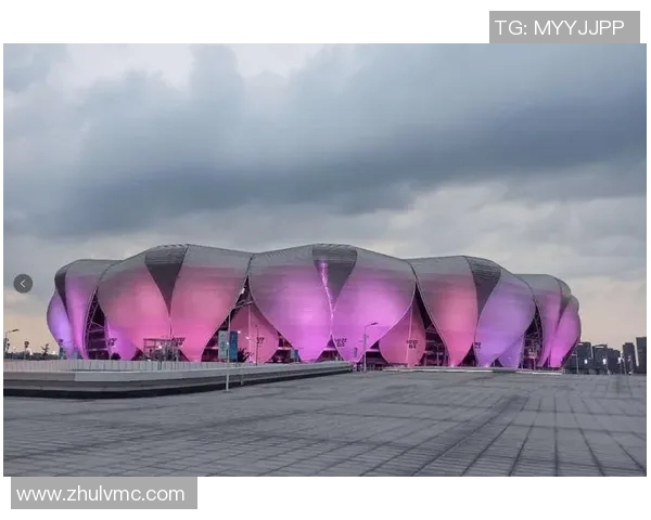 杭州羽毛球队转型之路揭秘:从传统强队到现代化竞技新标杆 杭州羽毛球队转型之路揭秘:从传统强队到现代化竞技新标杆