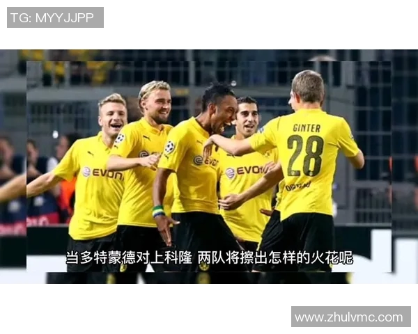 2017年多特蒙德对阵科隆的精彩赛事回顾与分析